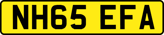 NH65EFA