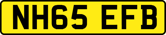NH65EFB