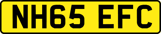 NH65EFC