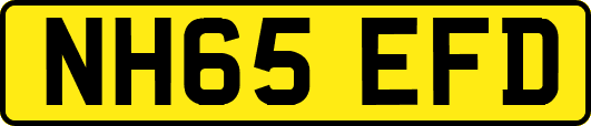 NH65EFD