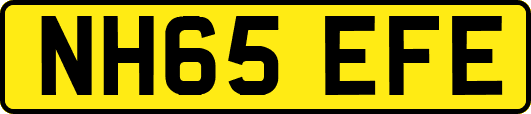 NH65EFE