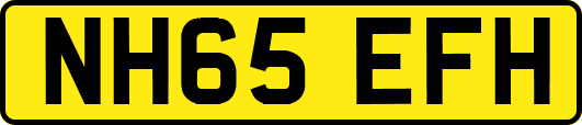 NH65EFH