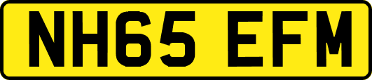 NH65EFM