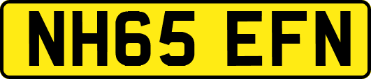 NH65EFN