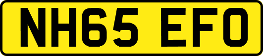 NH65EFO