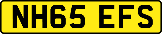 NH65EFS