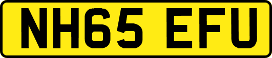 NH65EFU