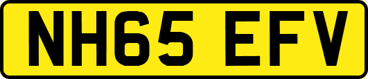 NH65EFV