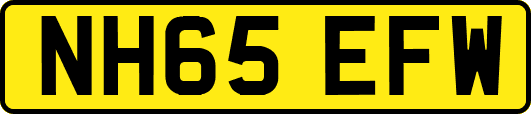 NH65EFW