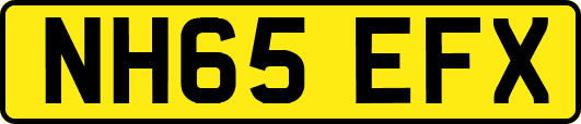 NH65EFX