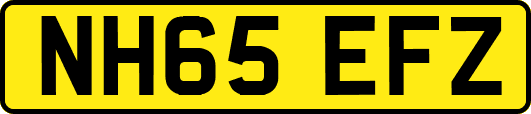 NH65EFZ