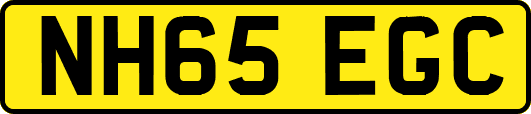 NH65EGC