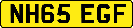 NH65EGF