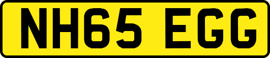 NH65EGG