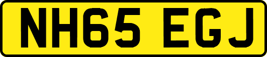 NH65EGJ