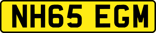 NH65EGM
