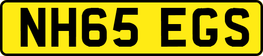 NH65EGS