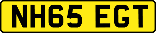 NH65EGT