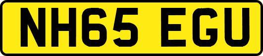 NH65EGU