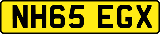 NH65EGX