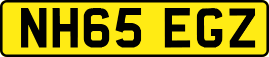 NH65EGZ
