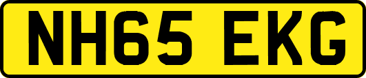 NH65EKG
