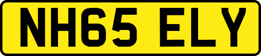 NH65ELY