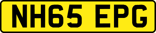 NH65EPG