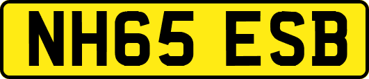 NH65ESB