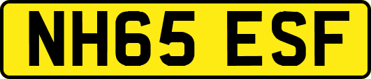 NH65ESF