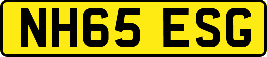 NH65ESG