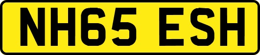 NH65ESH