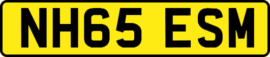NH65ESM