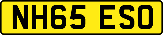 NH65ESO
