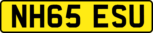 NH65ESU