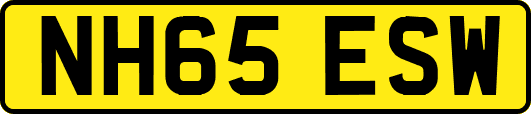 NH65ESW
