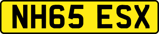 NH65ESX