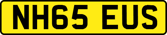 NH65EUS