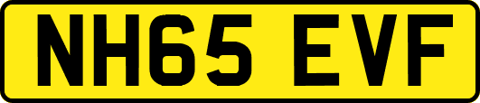 NH65EVF