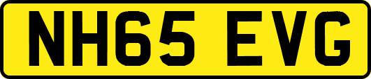 NH65EVG