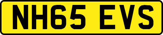 NH65EVS