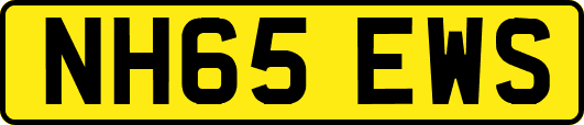 NH65EWS