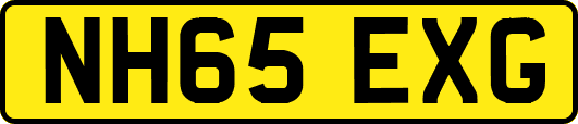 NH65EXG