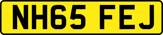 NH65FEJ