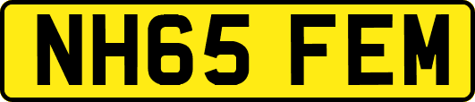 NH65FEM