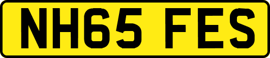 NH65FES