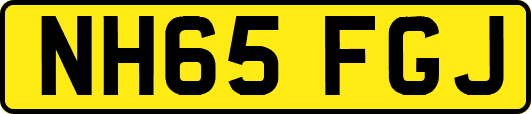 NH65FGJ