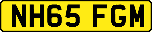 NH65FGM