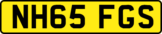 NH65FGS