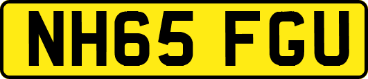 NH65FGU